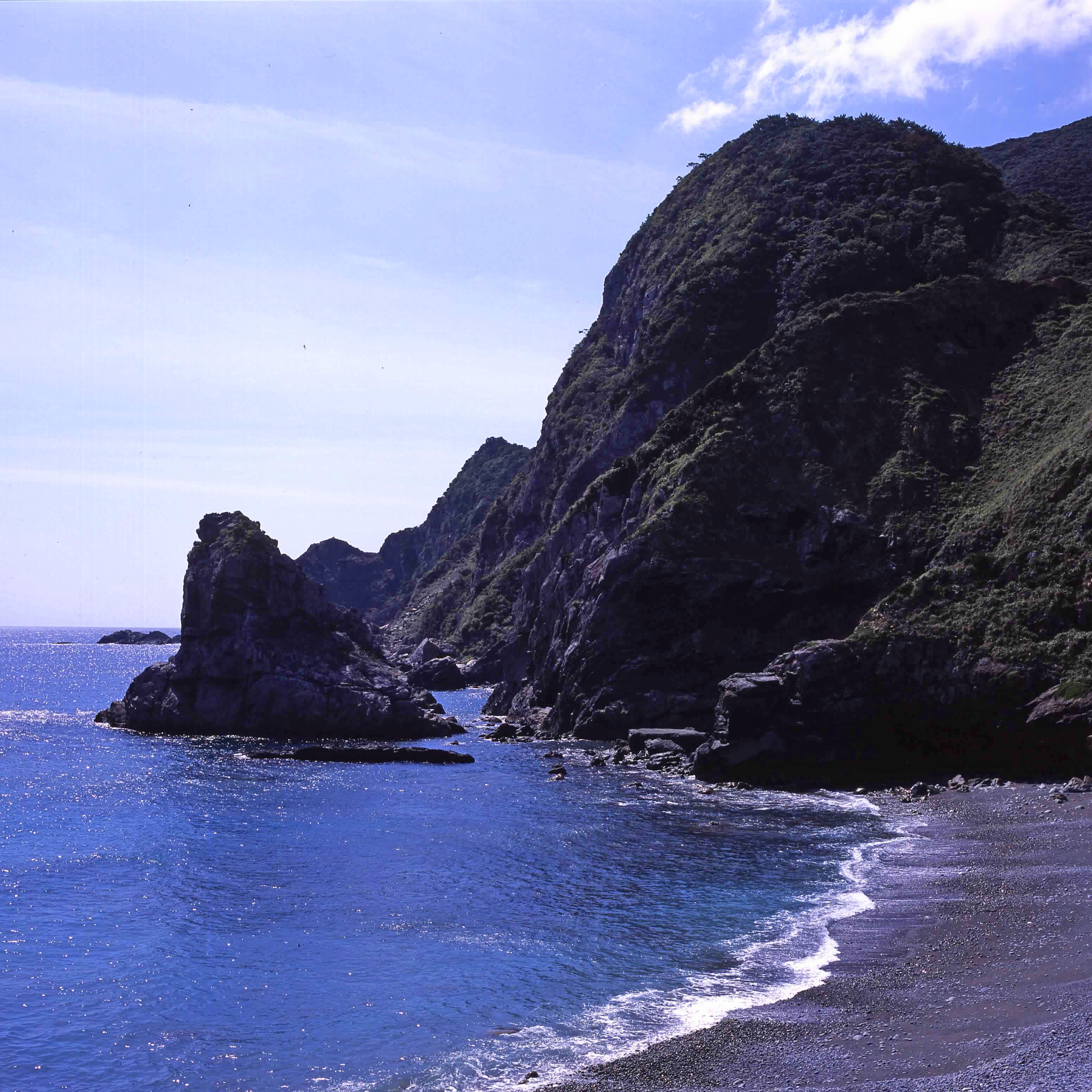 ハッセル　奄美大島